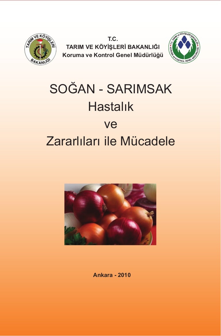 Domates yapraklarında sarı lekeler: görünümün nedenleri ve mücadele yöntemleri Domates yapraklarında sarı lekeler: görünümün nedenleri ve mücadele yöntemleri